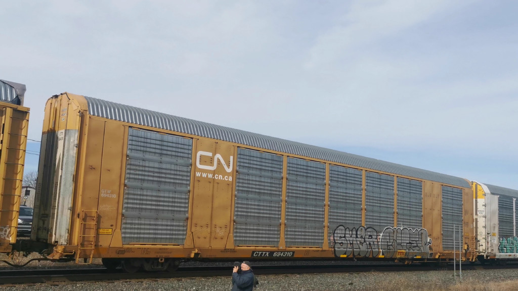 GTW 694310 (Body) CTTX 694310 (Flat)